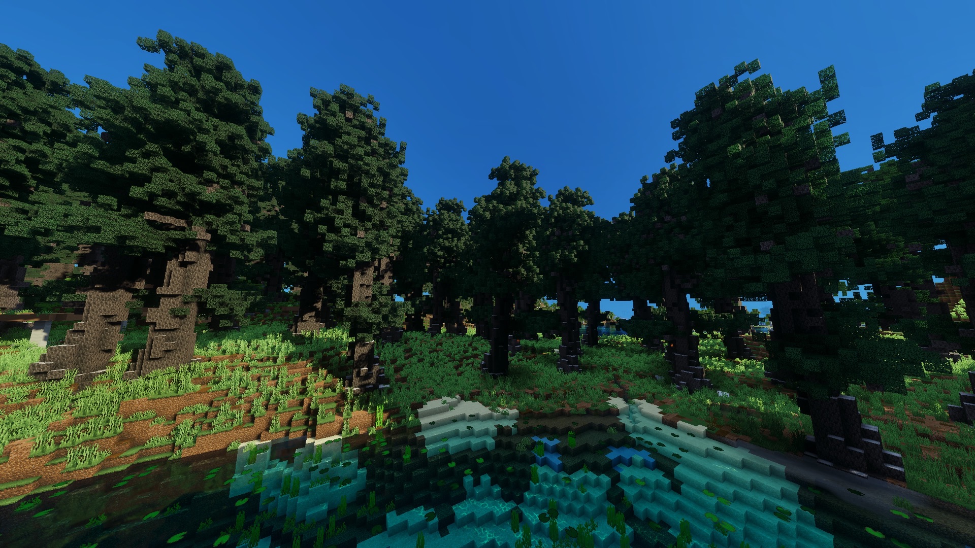 Enormous dark trees surrounding a deep blue pool in Wyrdwood Wild